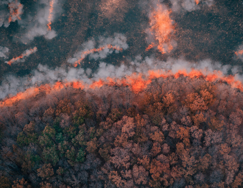 Luftaufnahme: Ein Waldbrand nimmt seinen Anfang.