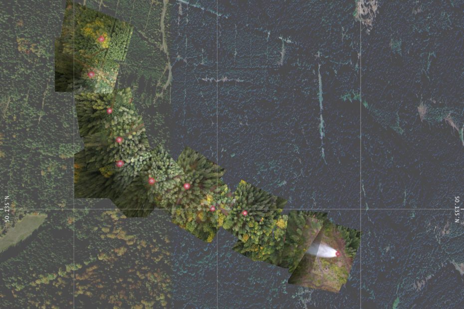 Symbolises visuals of digital guidance system