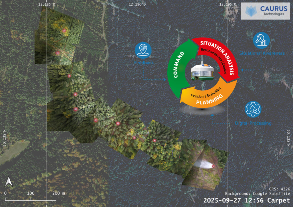 Picture carpet with command loop